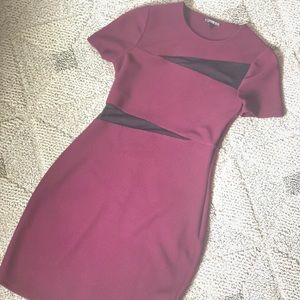 Express Deep Purple Dress w/ Mesh Details